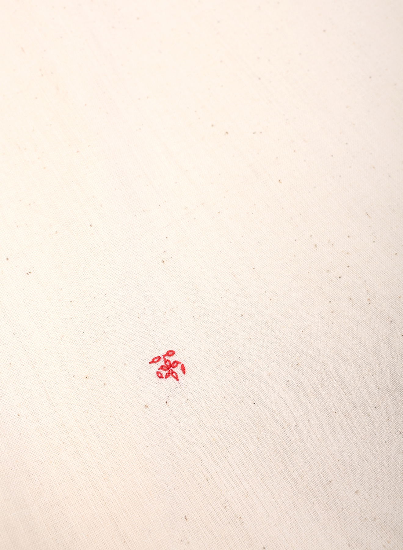 GULAB 5 GULAB - Image 5